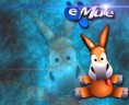 eMule 0.50